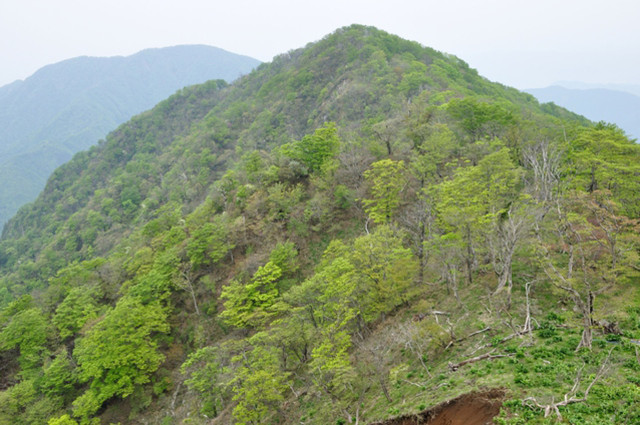 熊笹ノ峰